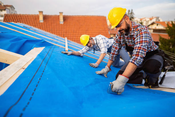 Roof Gutter Cleaning in Ogden, NC