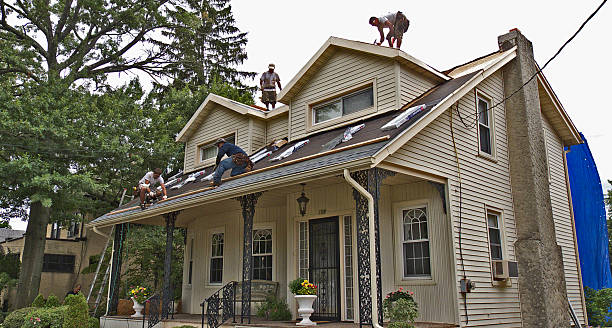 Best Flat Roof Repair Services  in Ogden, NC